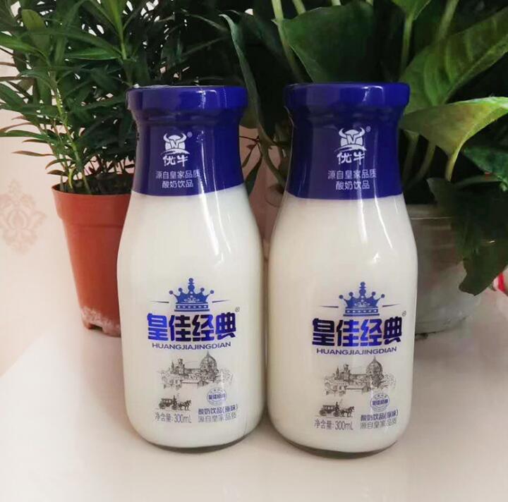 原味乳酸菌饮品 300ml*15原味乳酸菌饮品含乳饮料 儿童饮品玻璃瓶装 诚招代理加盟图片