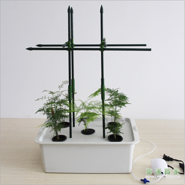 5孔增氧型果蔬水培種植箱圖片/5孔增氧型果蔬水培種植箱樣板圖 (4)