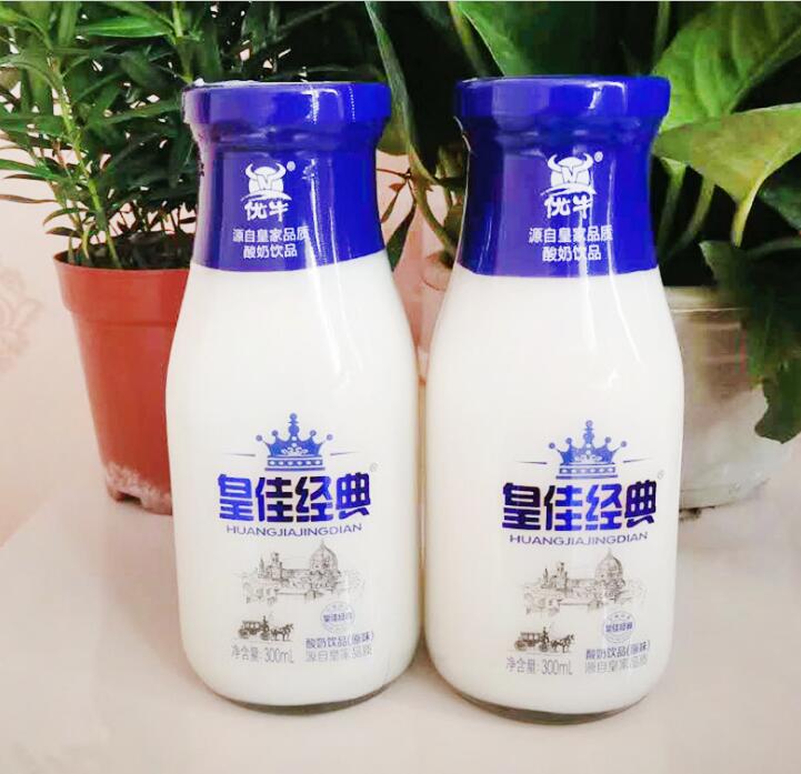 枣庄市原味乳酸菌饮品厂家原味乳酸菌饮品 300ml*15原味乳酸菌饮品含乳饮料 儿童饮品玻璃瓶装 诚招代理加盟