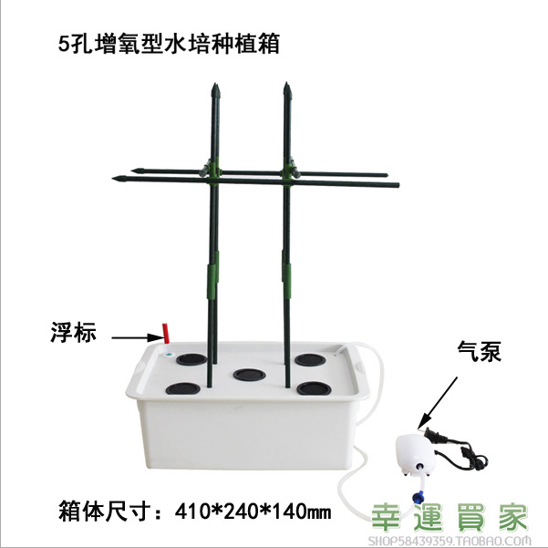 5孔增氧型果蔬水培種植箱圖片/5孔增氧型果蔬水培種植箱樣板圖 (2)