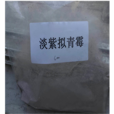 淡紫擬青霉廠家批發(fā)