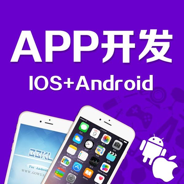 上海APP开发公司|绽曙科技|上海知识产权管理APP开发方案