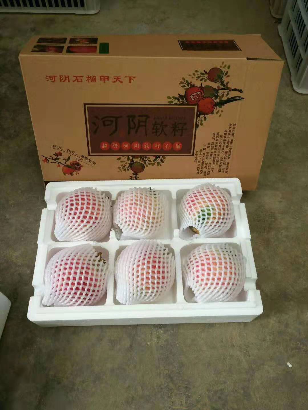 種植圖片/種植樣板圖 (2)