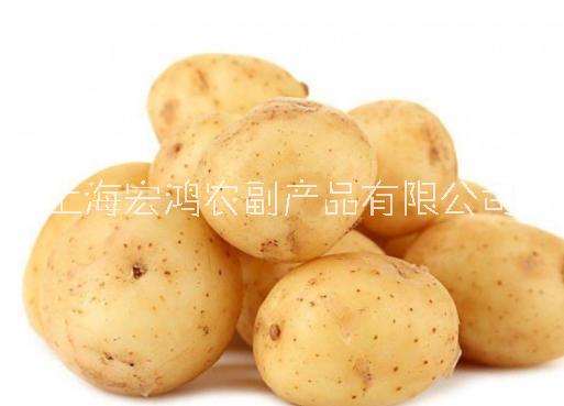 食品配送公司——企業(yè)食堂配送