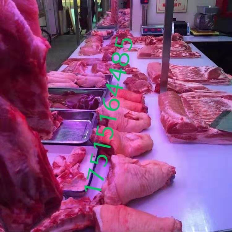 聚乙烯桌圖片/聚乙烯桌樣板圖 (1)