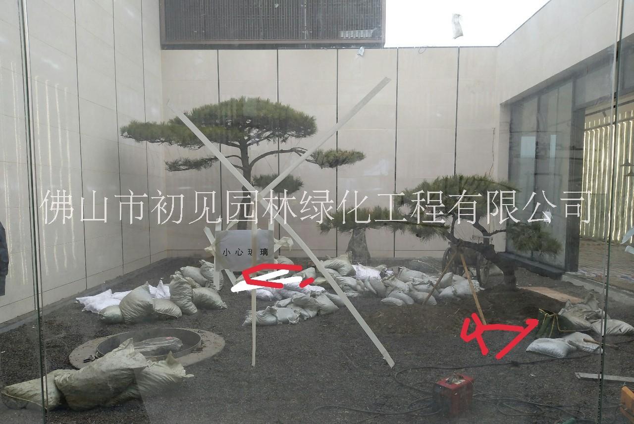 別墅園林設計圖片/別墅園林設計樣板圖 (2)