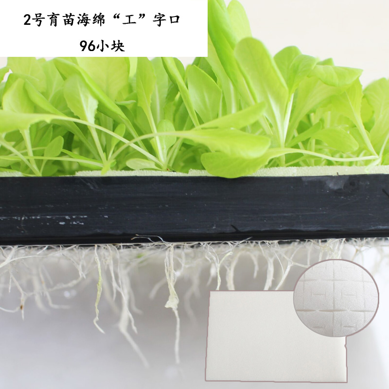 2號(hào)工字口育苗海綿圖片
