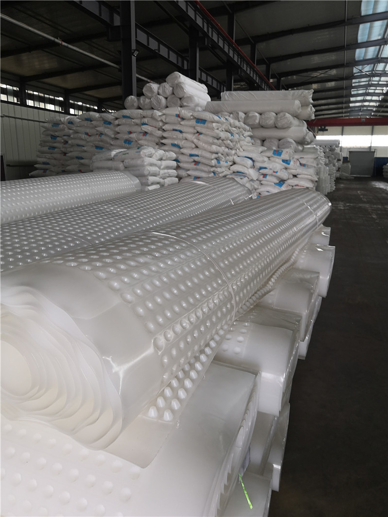 山東虹吸排水板圖片