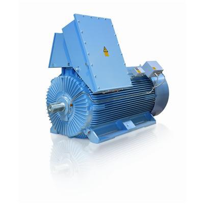 無(wú)火花型高壓鑄鐵電機(jī)圖片