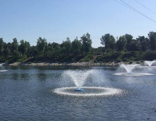 不銹鋼噴泉曝氣機(jī)形狀圖片