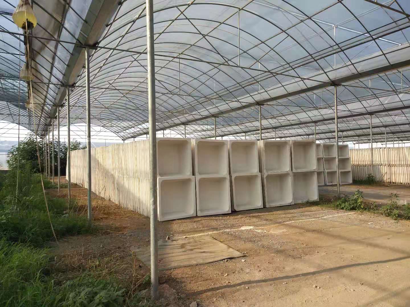 密肋樓蓋圖片/密肋樓蓋樣板圖 (3)