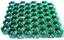 廠家直銷植草格圖片/廠家直銷植草格樣板圖 (2)