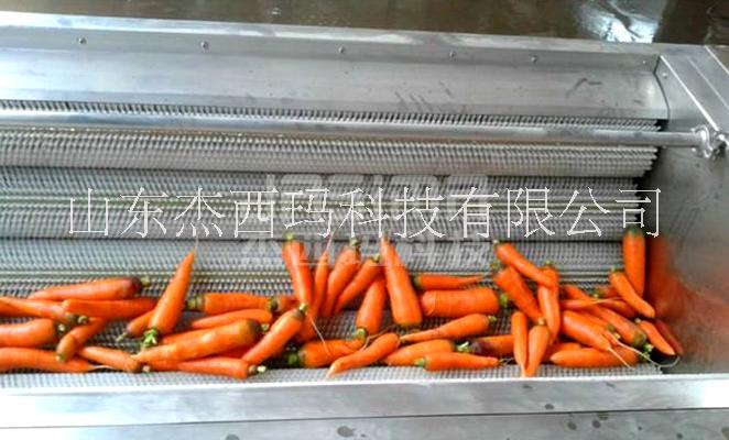 萝卜加工蔬菜清洗 萝卜清洗深加工蔬菜清洗流水线 胡萝卜清洗深加工蔬菜清洗流水线