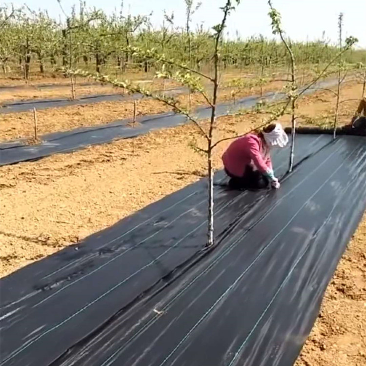 100g防草布 黑色聚丙烯耐氧化除草地布山东华龙厂家定制规格