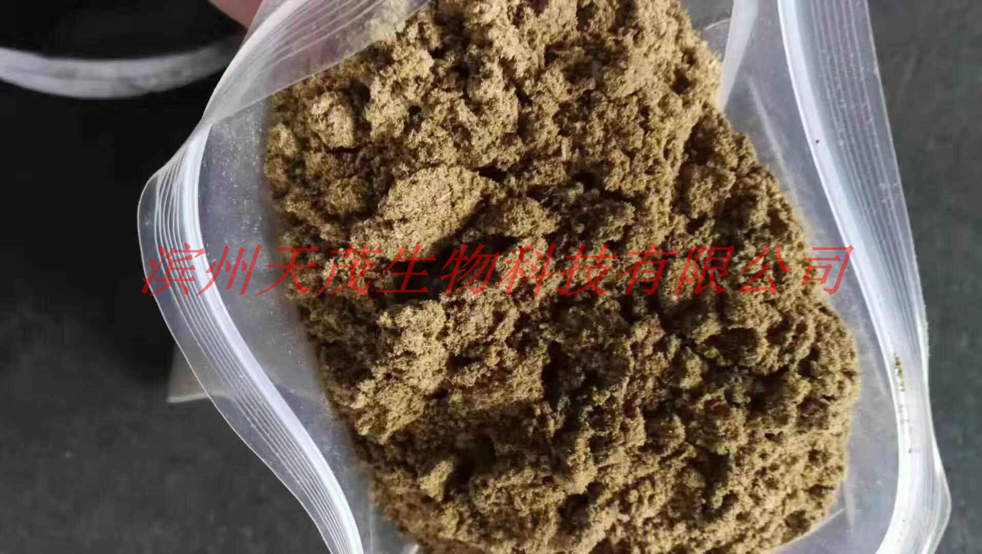 排行榜圖片/排行榜樣板圖 (4)