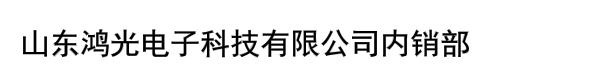 山东鸿光电子科技有限公司内销部