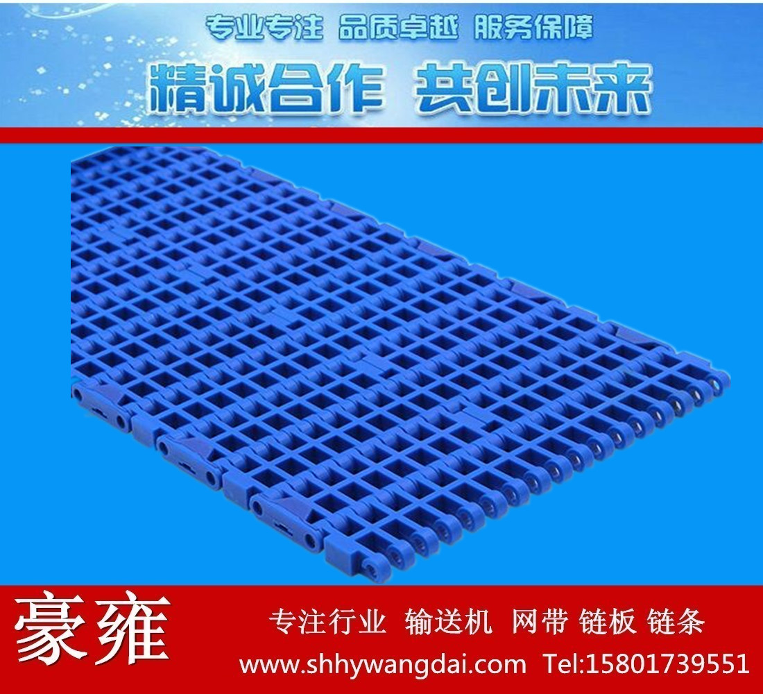 上海市豪雍1000型号塑料网带生产厂家厂家豪雍1000型号塑料网带生产厂家