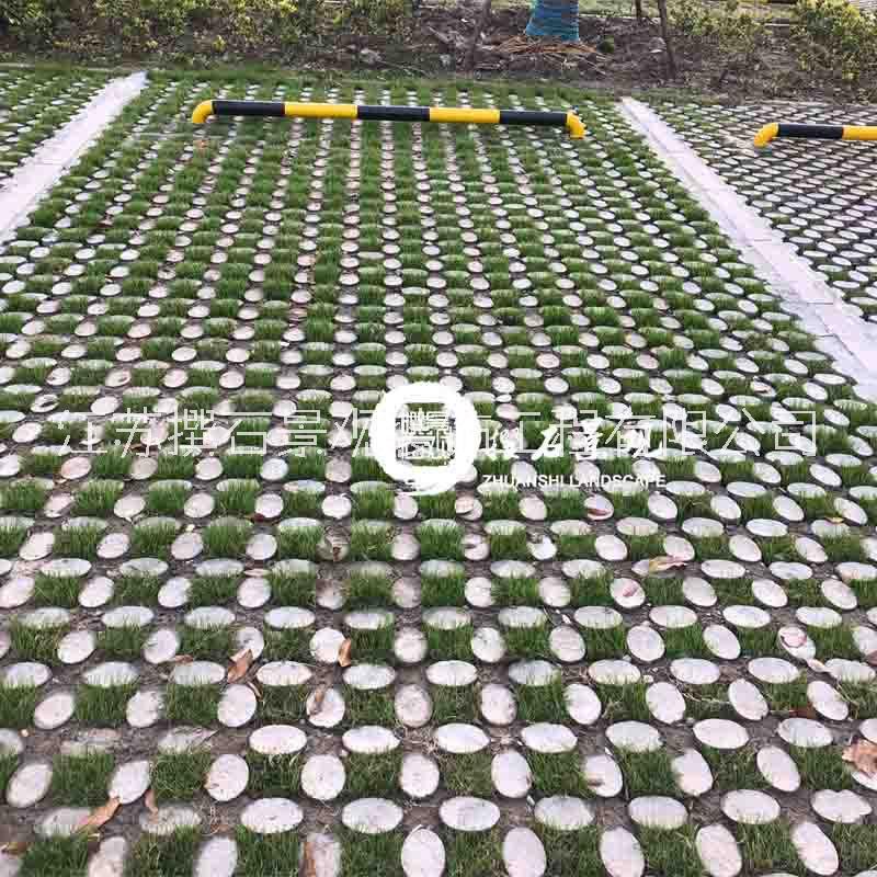 植草地坪圖片/植草地坪樣板圖 (2)