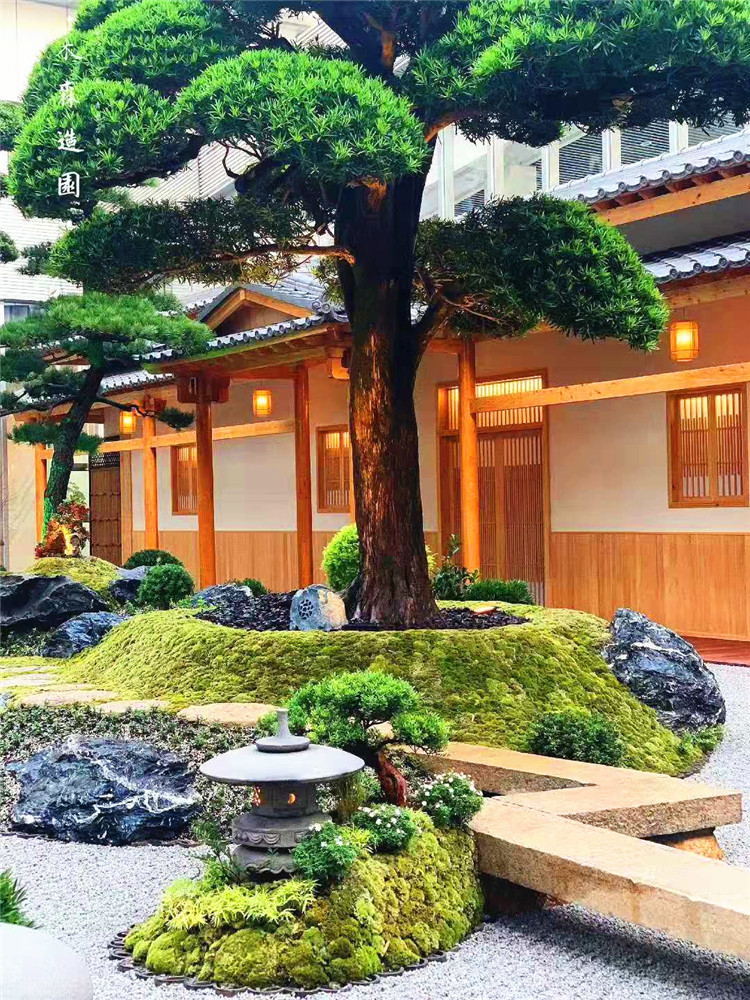 山石圖片/山石樣板圖 (2)