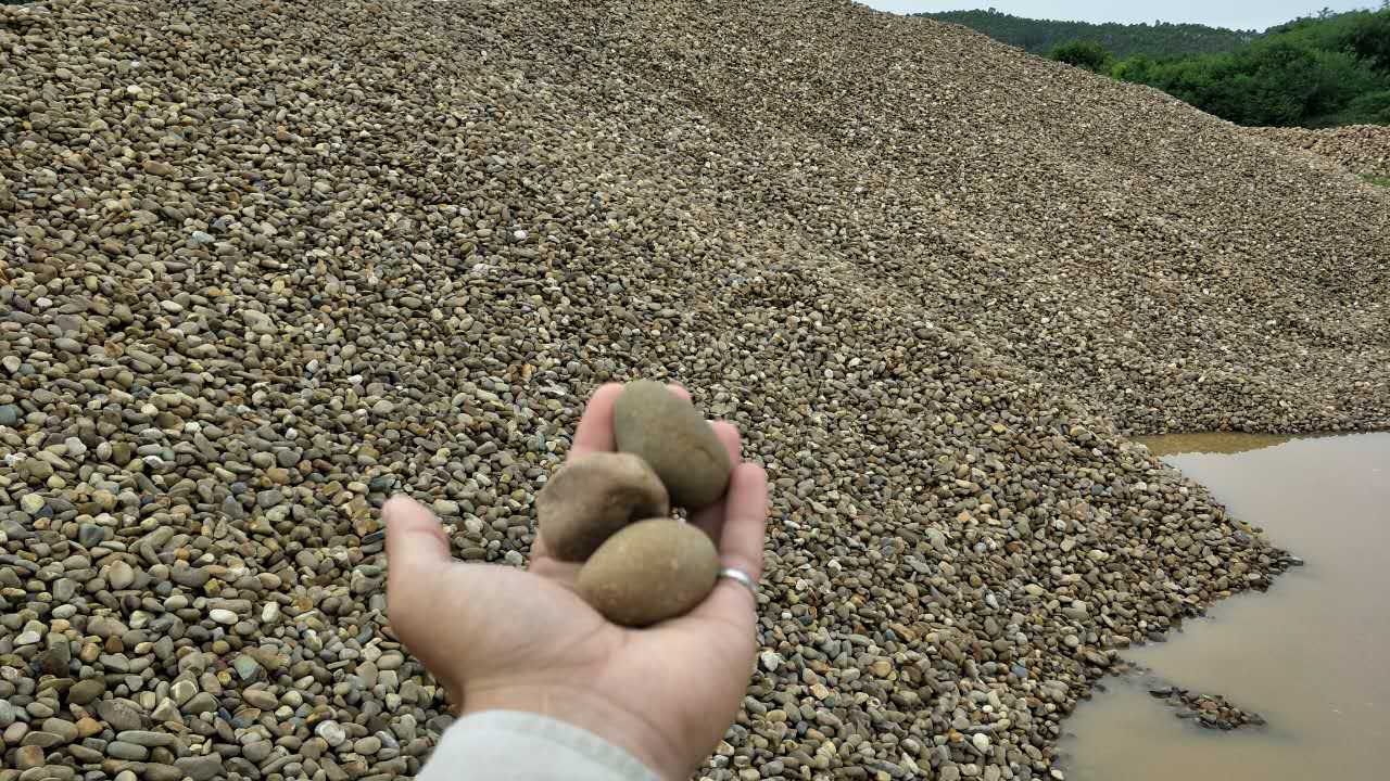 机制鹅卵石  鹅卵石规格 鹅卵石厂家 鹅卵石产地图片