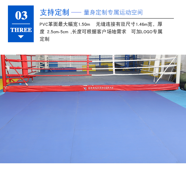 巴西柔術(shù)墊圖片