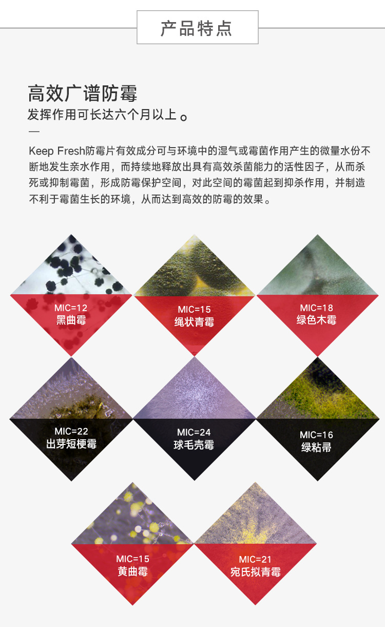 广州市KeepFresh防霉片厂家