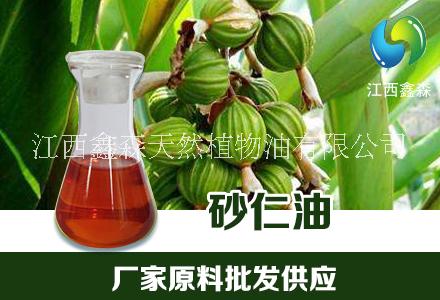 砂仁油 天然植物萃取 单方精油 鑫森现货图片