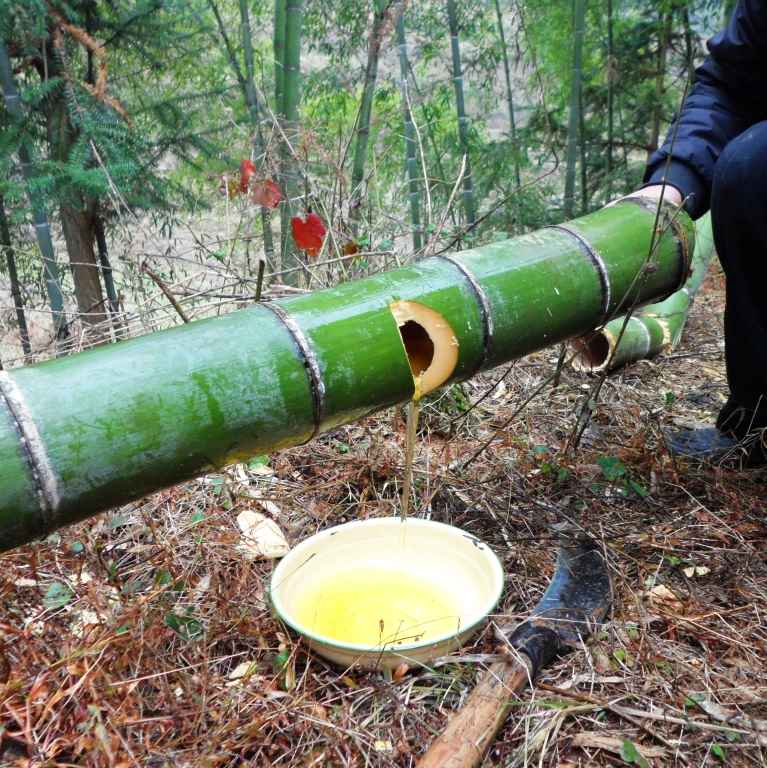 安徽鲜竹酒52度清香型厂家出厂价格