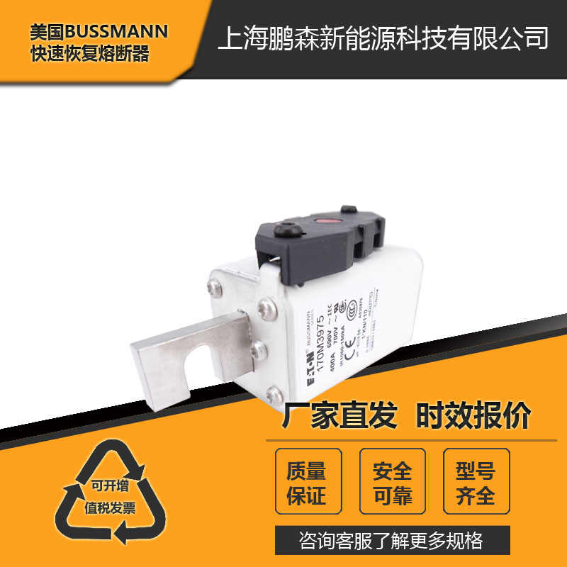 上海厂家供应BUSSMANN巴斯曼、熔断器170M2675 170M2676 170M2677〖进口货源〗图片