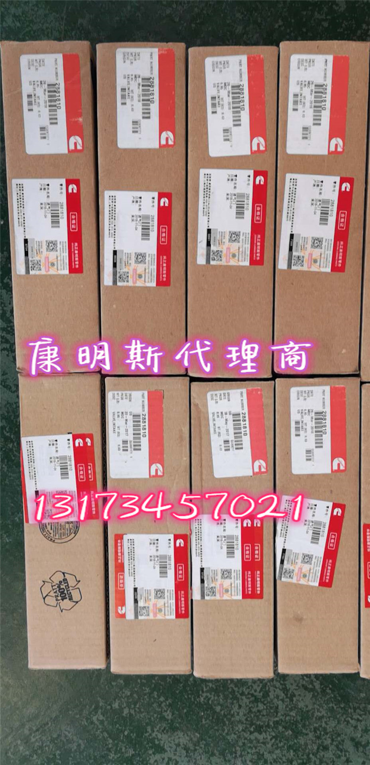 澳洲博士工厂【4955526】喷油器QSK19油嘴起火不是事 QSK19喷油器图片