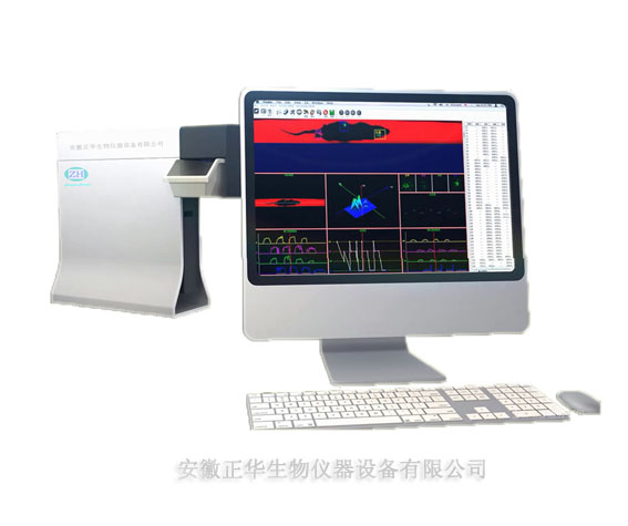 ZH 步态分析系统 大鼠步态分析系统 小鼠步态分析系统 小动物三维步态分析仪 供应