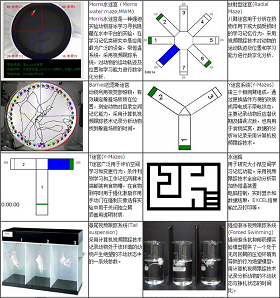 ZH 机能实验室整体解决方案 行为学实验室整体解决方案 医学仿真实验室 供应商