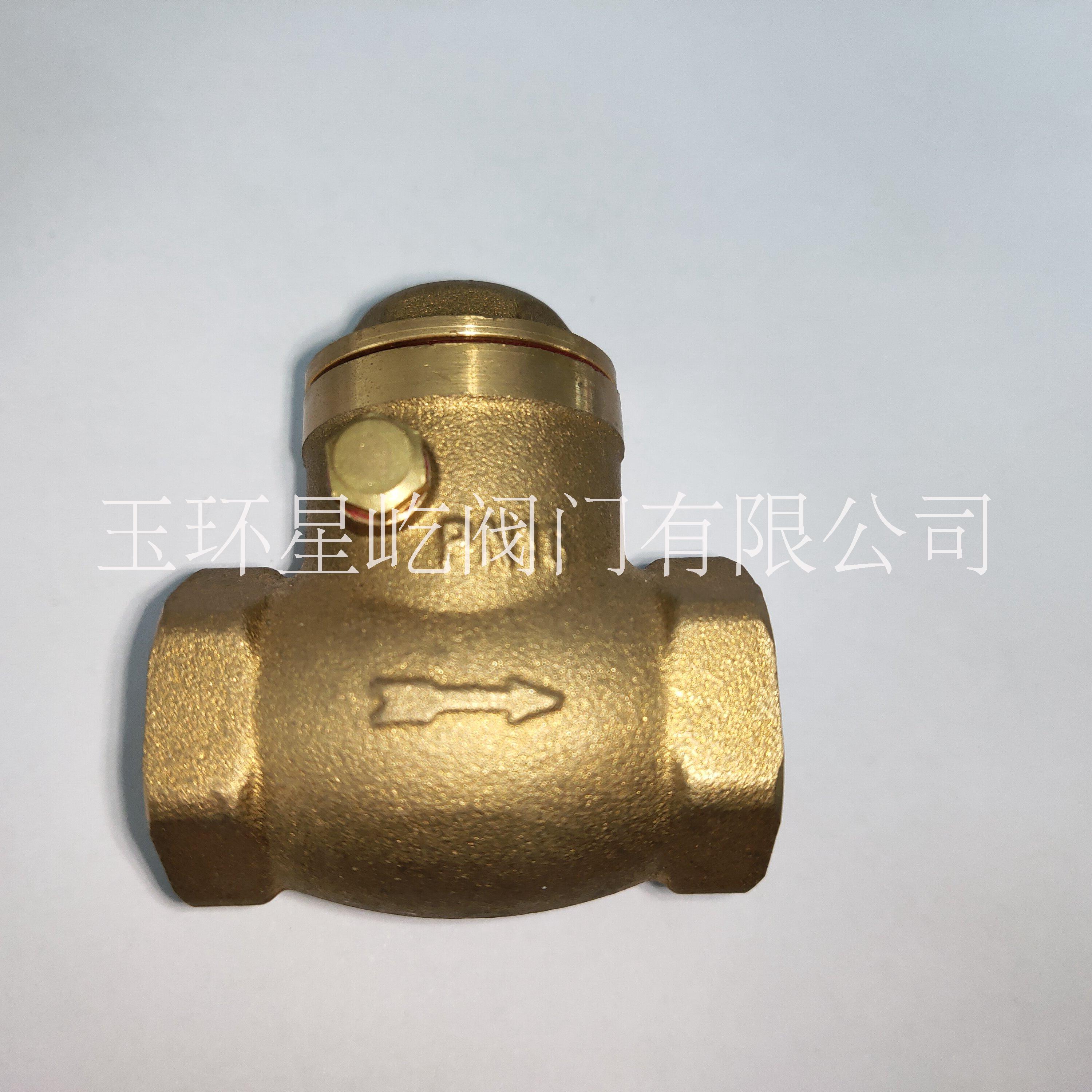 橫式擋板止回閥圖片