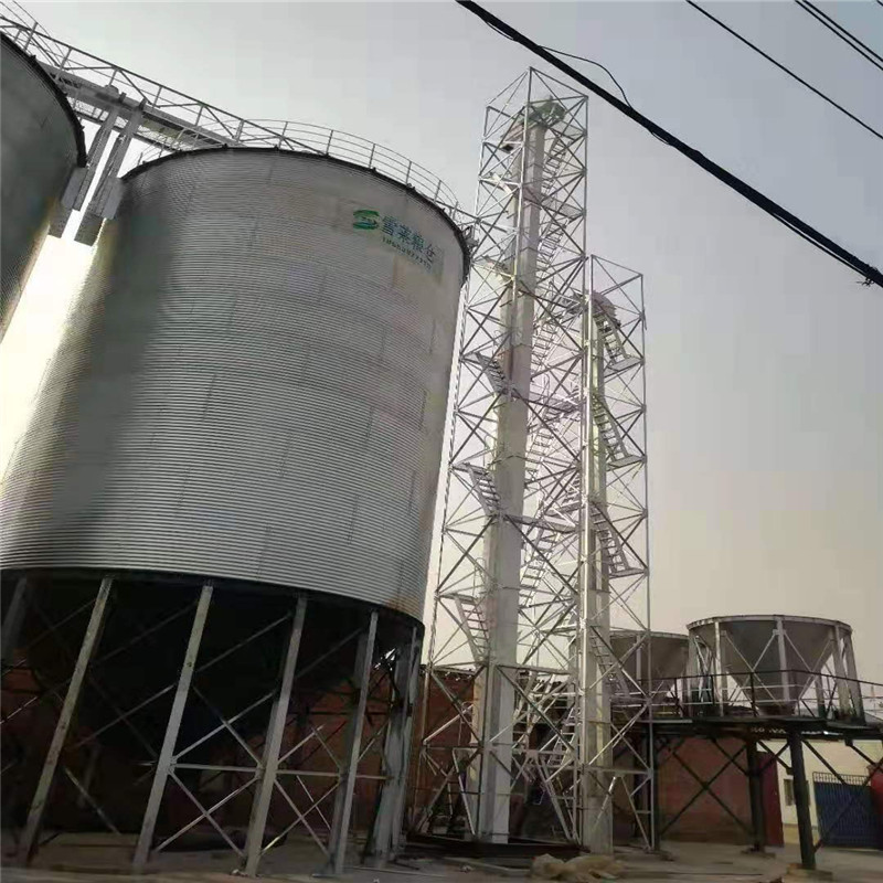 鋼結(jié)構(gòu)糧倉 100噸玉米立筒倉圖片