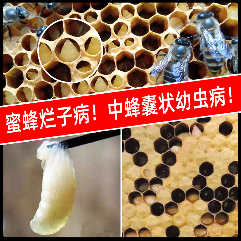 丹東中囊抗體500ml專利產品圖片/丹東中囊抗體500ml專利產品樣板圖 (2)