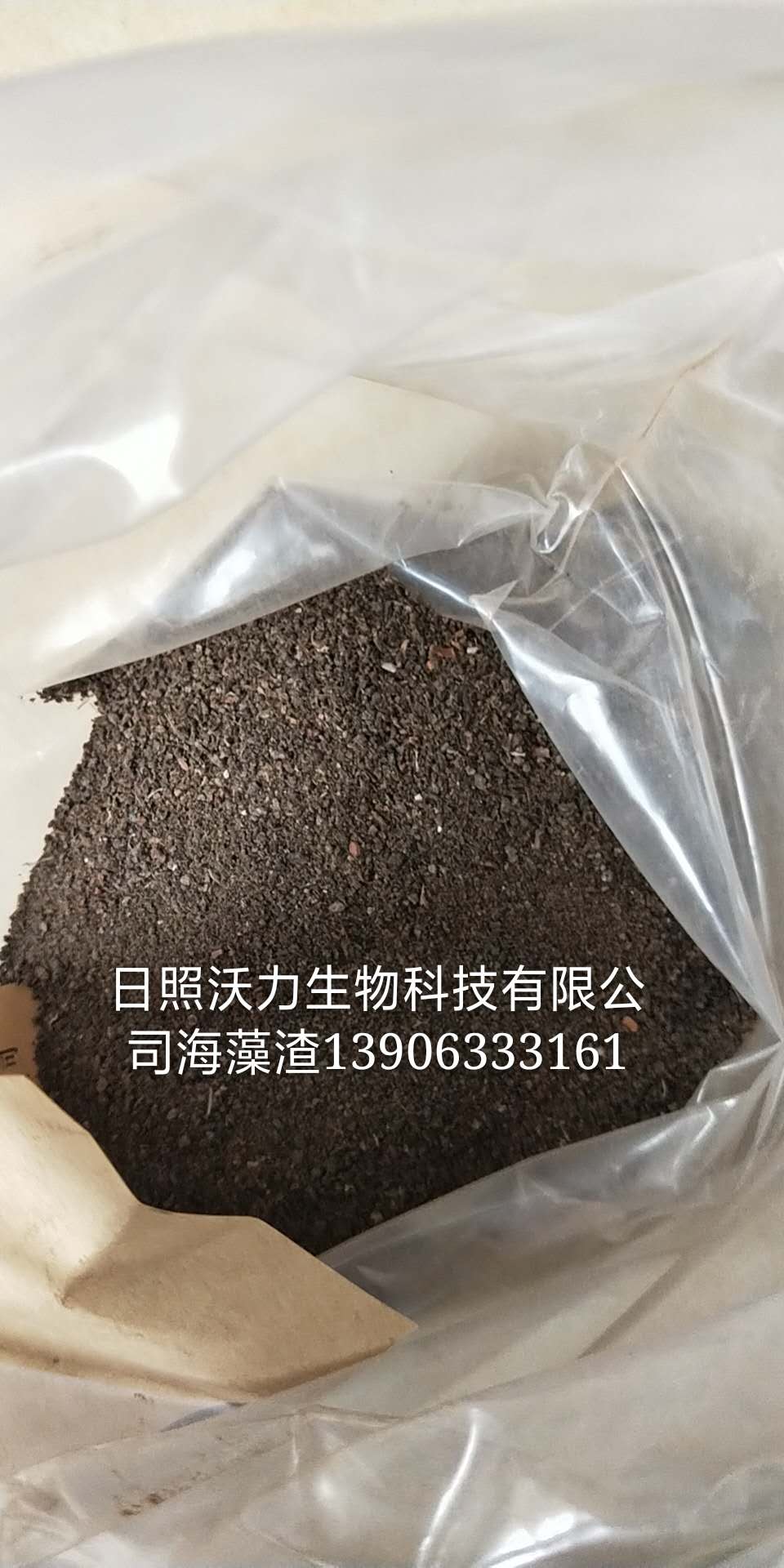 海藻粉厂家批发 山东沃力海参饲料海藻粉粗粉现货供应图片