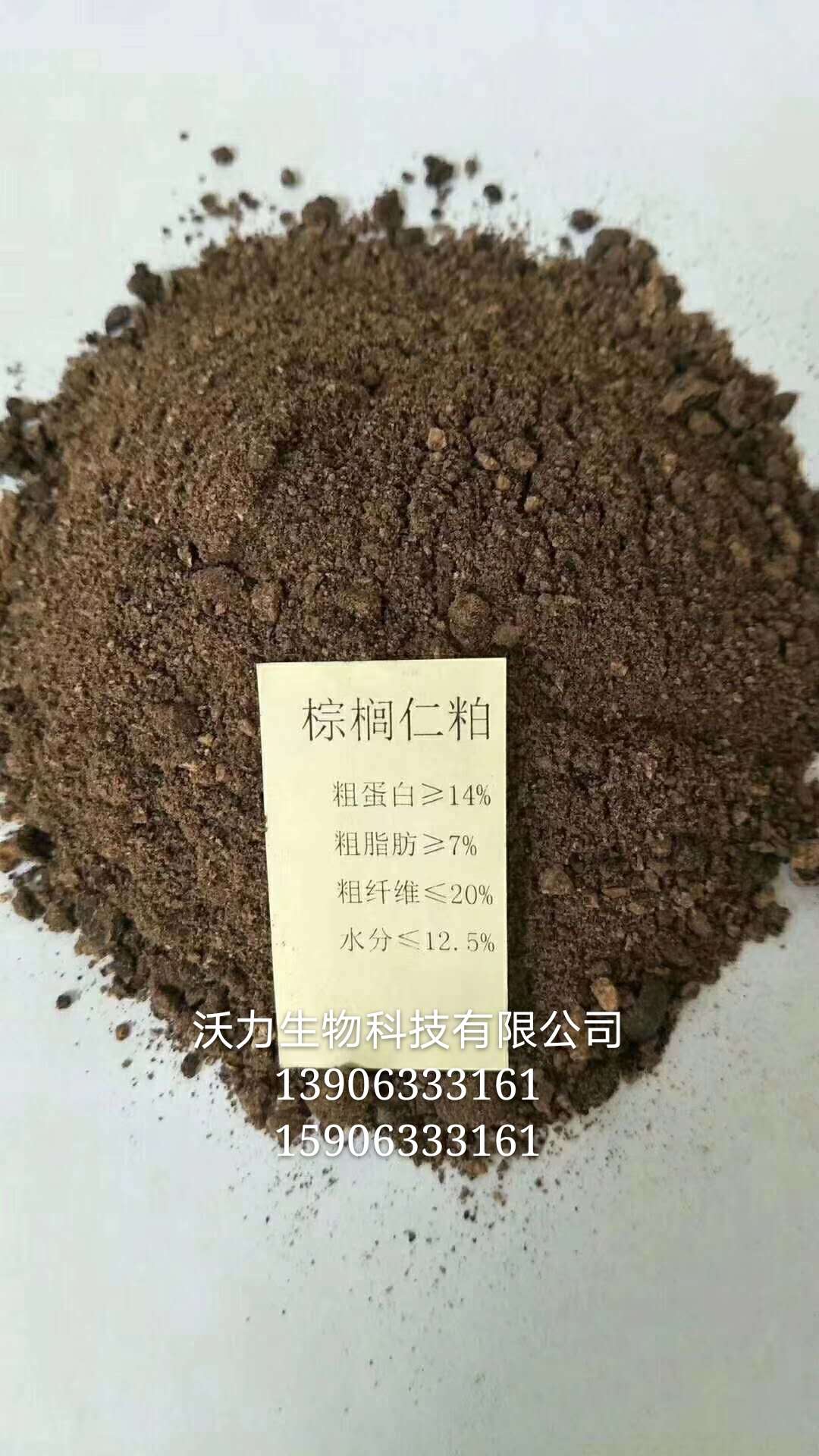 棕榈仁 山东现货供应 棕榈仁粕饲料 进口高蛋白 棕榈油粕图片