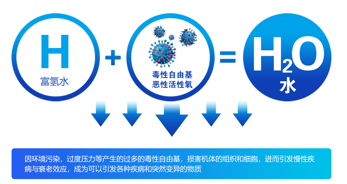 山东烟台富氢水机品牌山东烟台富氢水机品牌 多功能富氢水机供应厂家