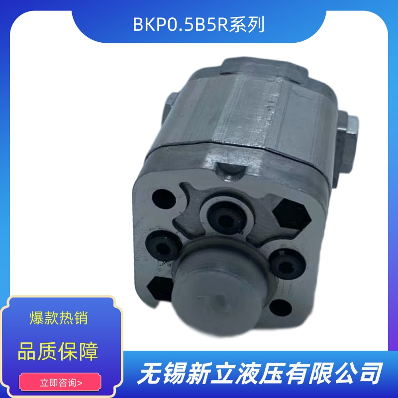 齒輪油泵BKP0.5B5R圖片/齒輪油泵BKP0.5B5R樣板圖 (4)