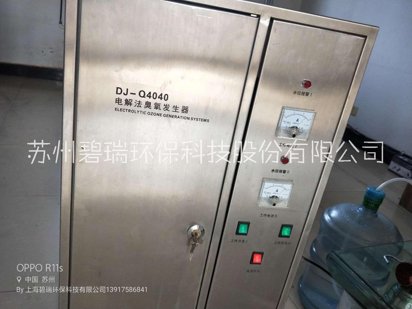 上海电解法臭氧发生器厂家碧瑞环保图片