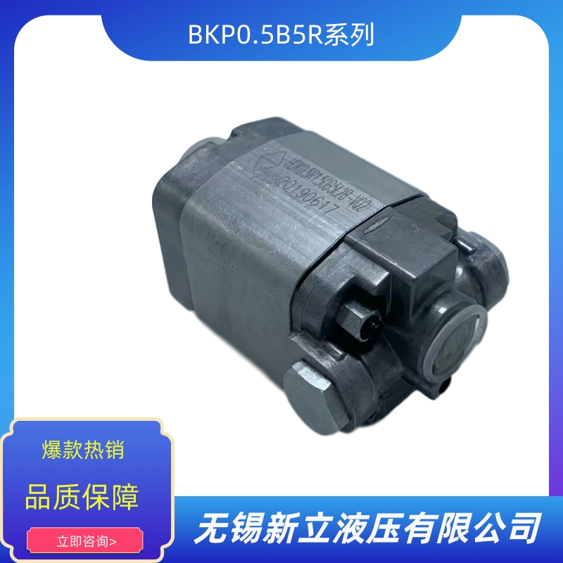 齒輪油泵BKP0.5B5R圖片/齒輪油泵BKP0.5B5R樣板圖 (2)
