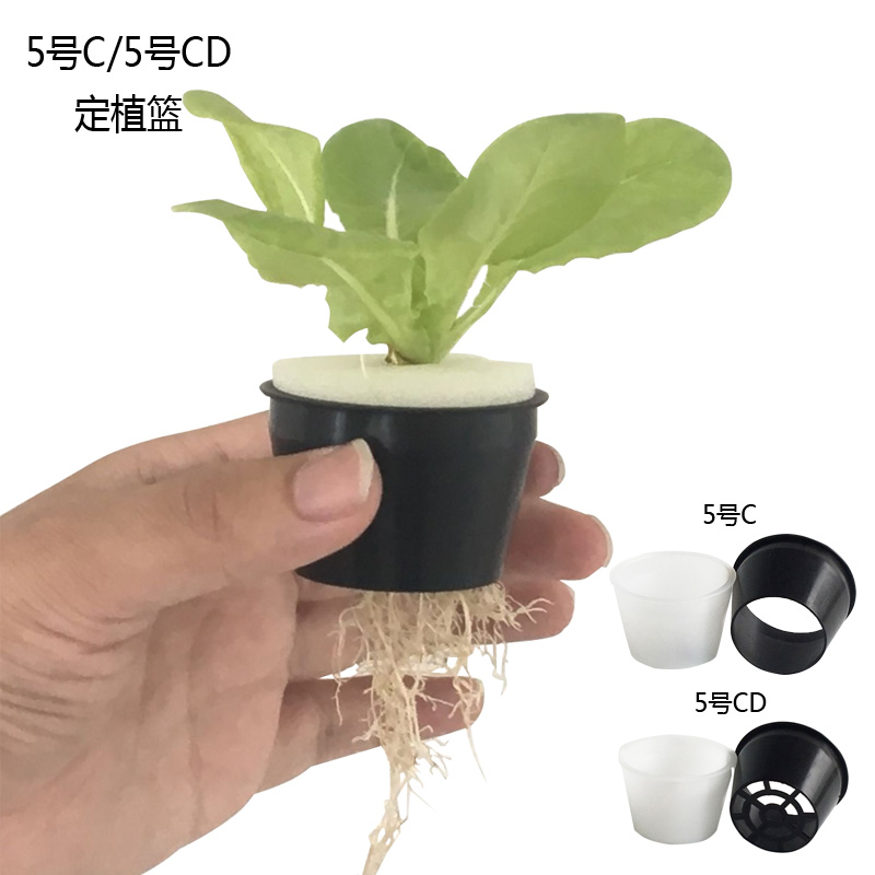 幸运买家无土栽培固根器叶菜果蔬菜通用圆形水培定植篮5号C/5号CD 塑料水耕水培蔬菜定植杯