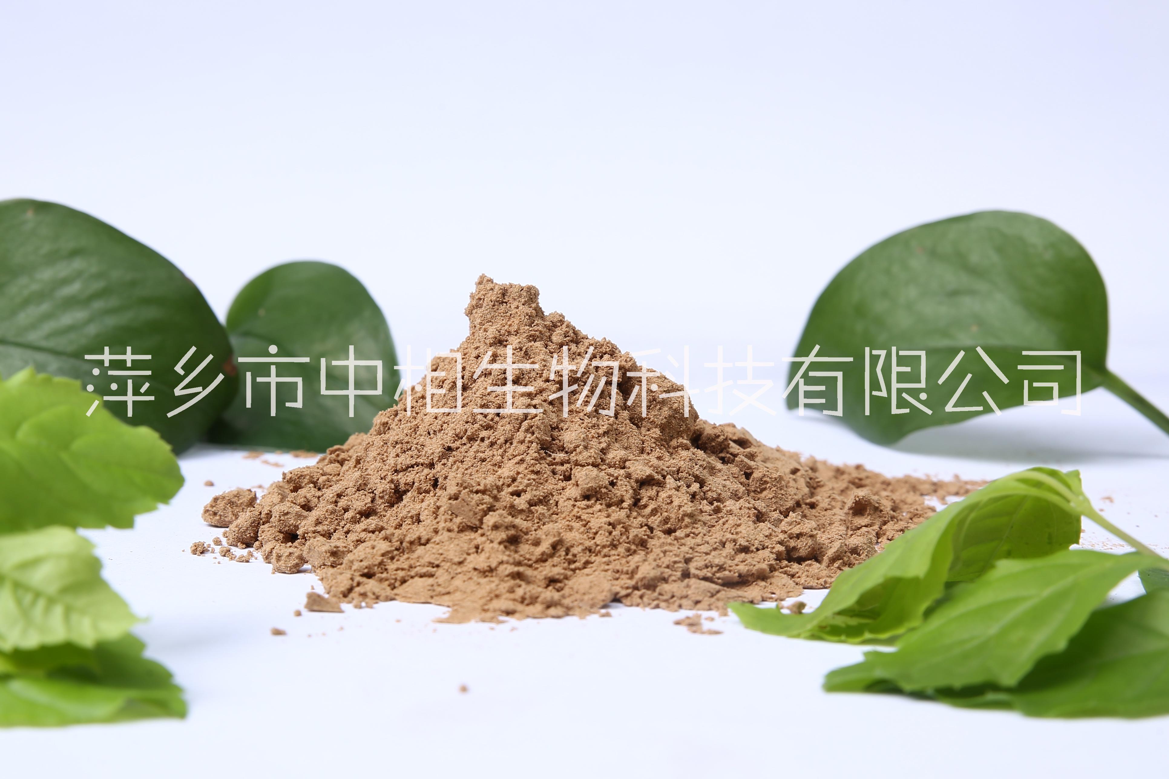 供应 水产养殖用 茶粕粉 茶饼 茶籽粉清塘，杀野杂鱼 富含茶皂素图片