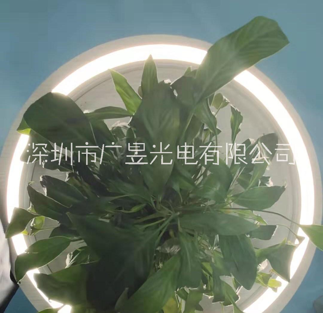 led超级数码侧发光霓虹软光源3032