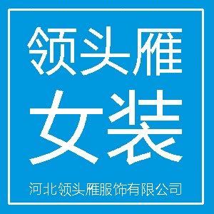 河北石家庄领头雁大码女士圆领短袖T恤纯棉休闲百搭款批发零售图片