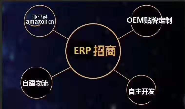 跨境电商蚂蚁店长ERP系统OEM贴牌定制源码开发图片