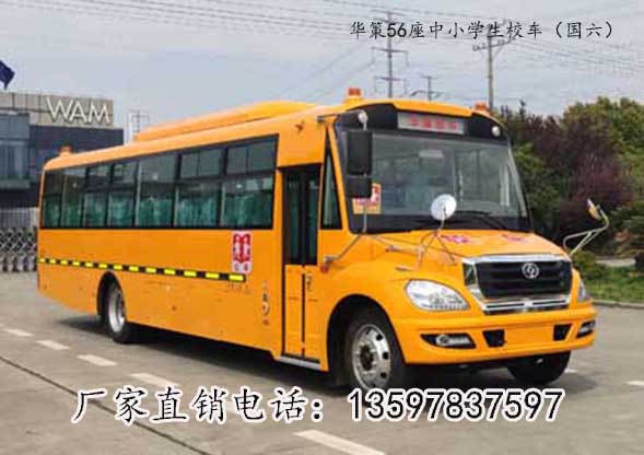 華策56座中學學生校車圖片