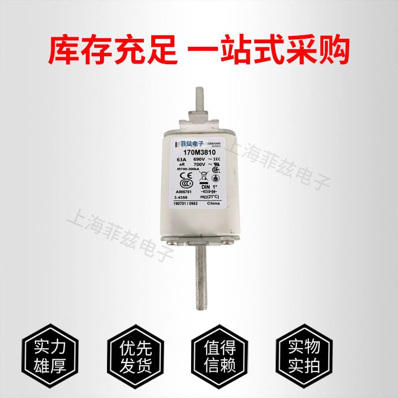 巴斯曼170M3810快速熔断器图片