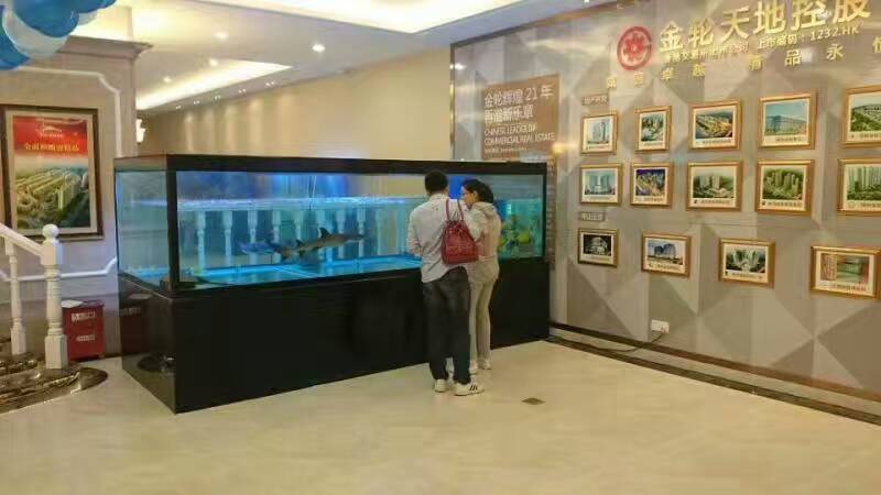 上海市海洋世界设备 海洋展互动 安装展厂家海洋世界设备 海洋展互动 安装展