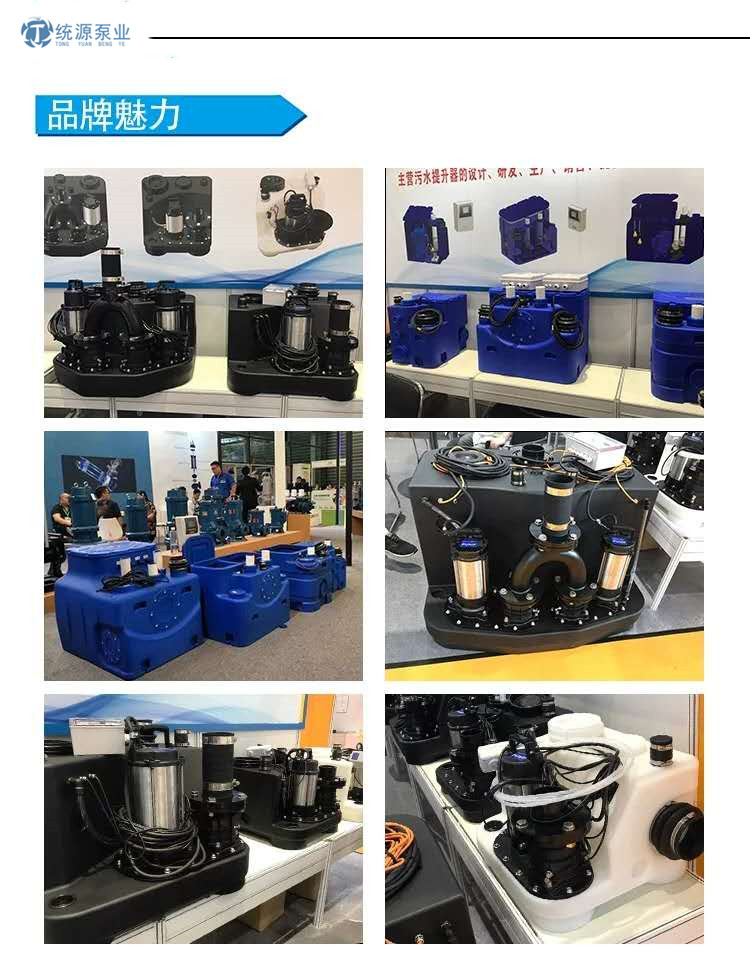 TYT300LPE污水提升器 规格